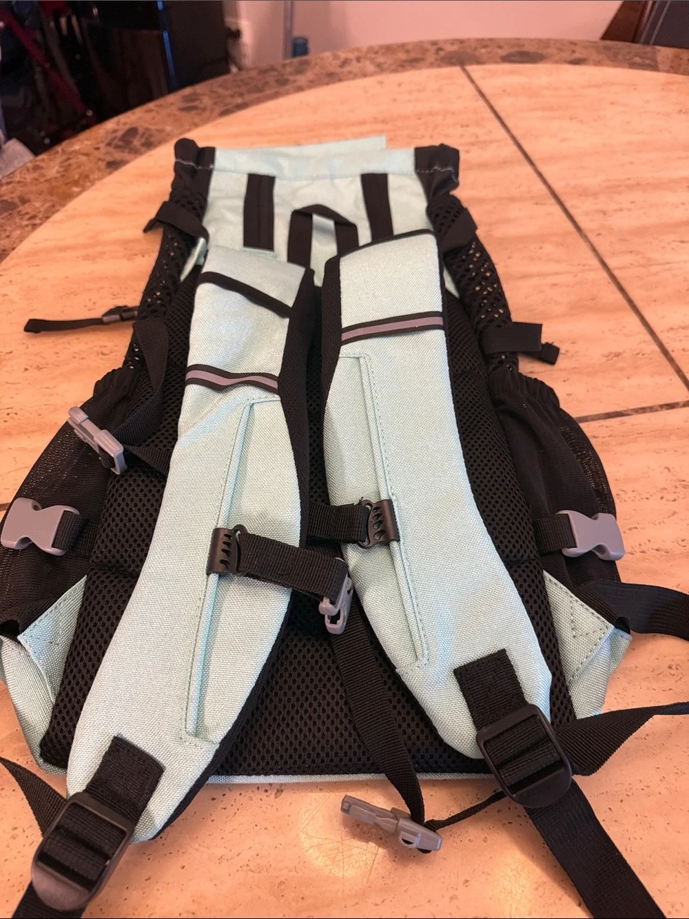 K9 Sport Sack Dog Backpack Carrier - Mint